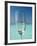 Glass and Tropical Island, Maldives, Indian Ocean, Asia-Sakis Papadopoulos-Framed Photographic Print