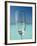 Glass and Tropical Island, Maldives, Indian Ocean, Asia-Sakis Papadopoulos-Framed Photographic Print