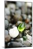 Glass Beach Near Fort Bragg California-Justin Bailie-Mounted Photographic Print