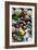 Glass Beach Near Fort Bragg California-Justin Bailie-Framed Photographic Print