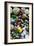 Glass Beach Near Fort Bragg California-Justin Bailie-Framed Photographic Print