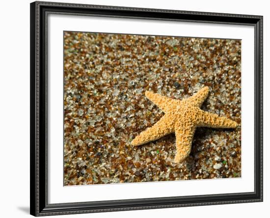 Glass Beach with Star Fish, Kauai, Hawaii, USA-Terry Eggers-Framed Photographic Print