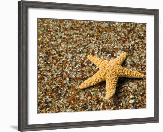 Glass Beach with Star Fish, Kauai, Hawaii, USA-Terry Eggers-Framed Photographic Print