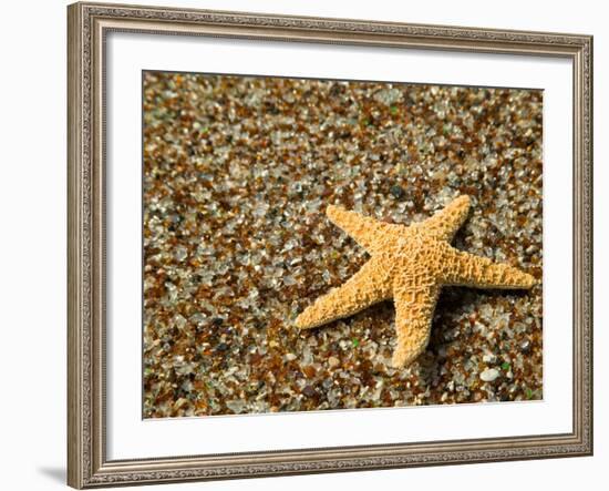 Glass Beach with Star Fish, Kauai, Hawaii, USA-Terry Eggers-Framed Photographic Print