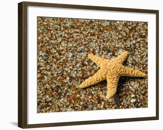 Glass Beach with Star Fish, Kauai, Hawaii, USA-Terry Eggers-Framed Photographic Print