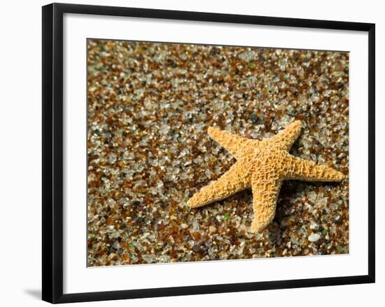 Glass Beach with Star Fish, Kauai, Hawaii, USA-Terry Eggers-Framed Photographic Print