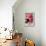 Glass Bottle with Pomegranate Juice and Pomegranates-Jana Ihle-Framed Premier Image Canvas displayed on a wall