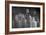 Glass Bottles-Moises Levy-Framed Photographic Print