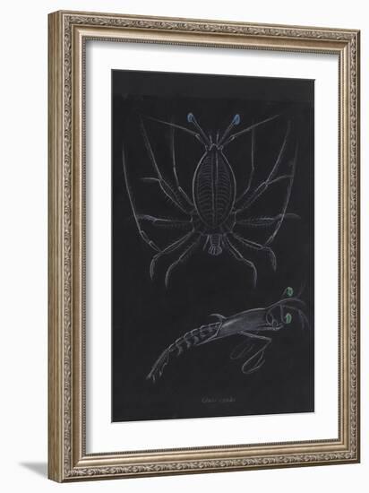 Glass Crabs-Philip Henry Gosse-Framed Giclee Print