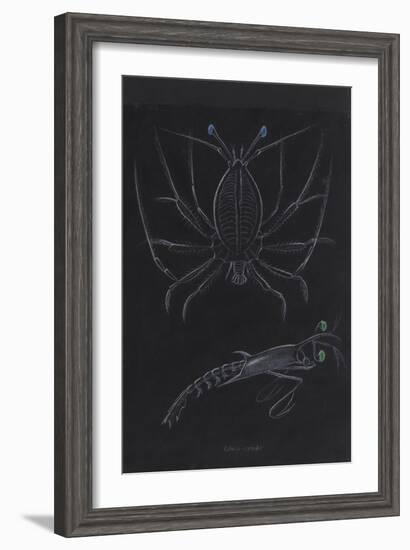 Glass Crabs-Philip Henry Gosse-Framed Giclee Print