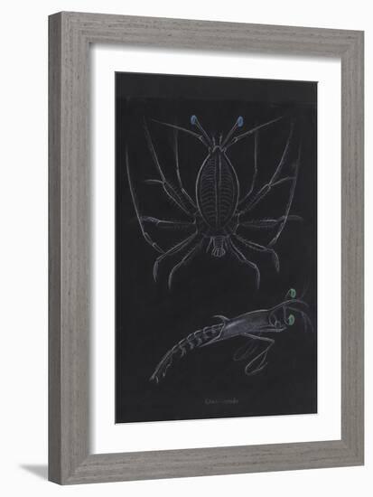 Glass Crabs-Philip Henry Gosse-Framed Giclee Print