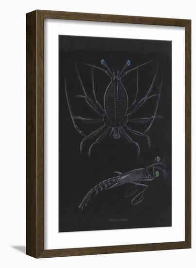 Glass Crabs-Philip Henry Gosse-Framed Giclee Print