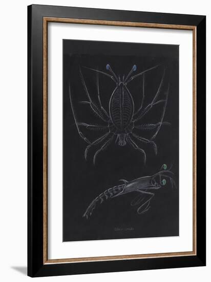 Glass Crabs-Philip Henry Gosse-Framed Giclee Print