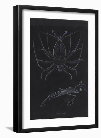 Glass Crabs-Philip Henry Gosse-Framed Giclee Print