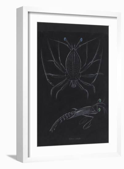 Glass Crabs-Philip Henry Gosse-Framed Giclee Print