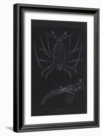 Glass Crabs-Philip Henry Gosse-Framed Giclee Print