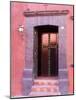 Glass Door Entrance,San Miguel, Guanajuato State, Mexico-Julie Eggers-Mounted Photographic Print