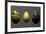 Glass Eggs-null-Framed Giclee Print