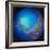 Glass fish 3, 2012-Odile Kidd-Framed Giclee Print