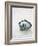 Glass fishing float on chart-Savanah Plank-Framed Photo