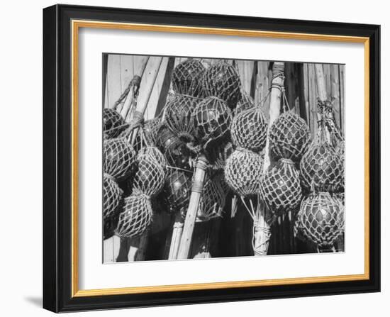 Glass Net Floats Being Used in Groups to Hold Afloat Net Markers Which Are Poles with Small Flag-Eliot Elisofon-Framed Photographic Print