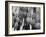 Glass Net Floats Being Used in Groups to Hold Afloat Net Markers Which Are Poles with Small Flag-Eliot Elisofon-Framed Photographic Print