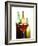 Glass of Red Wine in Front of Three Wine Bottles-Joerg Lehmann-Framed Photographic Print