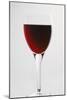 Glass of Red Wine-Lawrence Lawry-Mounted Photographic Print