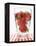 Glass of Strawberry Punch-Kröger & Gross-Framed Premier Image Canvas