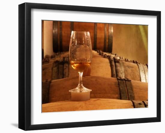 Glass of White Wine on Bung Hole Stopper, Wine Cellar of Jo Pithon, Loire Valley, France-Per Karlsson-Framed Photographic Print