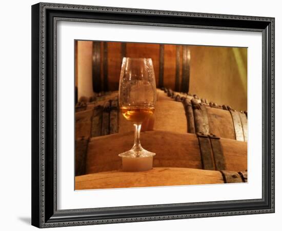 Glass of White Wine on Bung Hole Stopper, Wine Cellar of Jo Pithon, Loire Valley, France-Per Karlsson-Framed Photographic Print