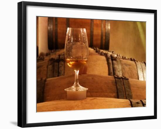 Glass of White Wine on Bung Hole Stopper, Wine Cellar of Jo Pithon, Loire Valley, France-Per Karlsson-Framed Photographic Print