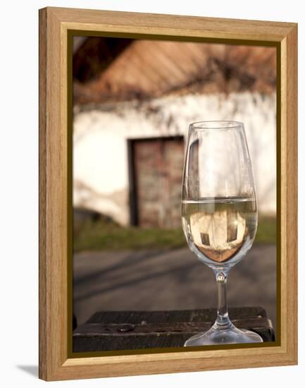 Glass of White Wine (Riesling) at Wine Cellar, Village of Vlkos, Brnensko, Czech Republic, Europe-Richard Nebesky-Framed Premier Image Canvas