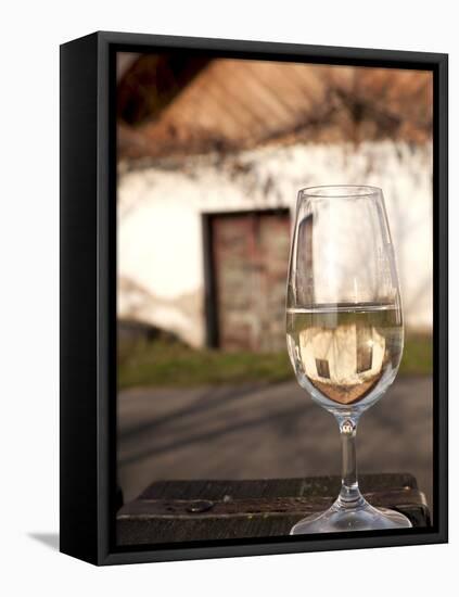 Glass of White Wine (Riesling) at Wine Cellar, Village of Vlkos, Brnensko, Czech Republic, Europe-Richard Nebesky-Framed Premier Image Canvas
