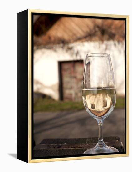 Glass of White Wine (Riesling) at Wine Cellar, Village of Vlkos, Brnensko, Czech Republic, Europe-Richard Nebesky-Framed Premier Image Canvas