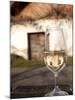 Glass of White Wine (Riesling) at Wine Cellar, Village of Vlkos, Brnensko, Czech Republic, Europe-Richard Nebesky-Mounted Premium Photographic Print