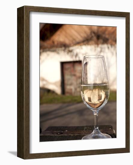 Glass of White Wine (Riesling) at Wine Cellar, Village of Vlkos, Brnensko, Czech Republic, Europe-Richard Nebesky-Framed Photographic Print