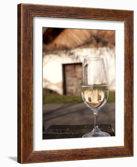 Glass of White Wine (Riesling) at Wine Cellar, Village of Vlkos, Brnensko, Czech Republic, Europe-Richard Nebesky-Framed Photographic Print