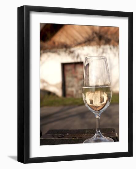Glass of White Wine (Riesling) at Wine Cellar, Village of Vlkos, Brnensko, Czech Republic, Europe-Richard Nebesky-Framed Photographic Print