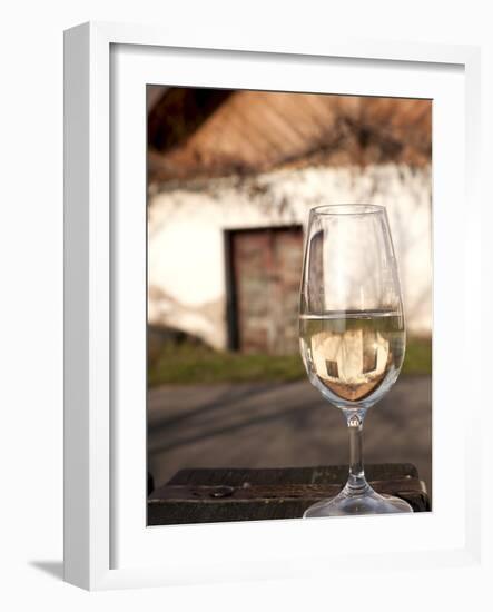 Glass of White Wine (Riesling) at Wine Cellar, Village of Vlkos, Brnensko, Czech Republic, Europe-Richard Nebesky-Framed Photographic Print