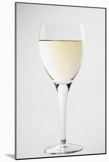 Glass of White Wine-Lawrence Lawry-Mounted Photographic Print