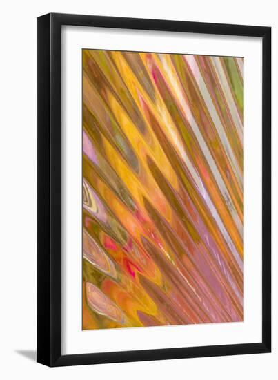 Glass Patterns II-Kathy Mahan-Framed Photographic Print