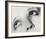 Glass Tears, 1932-Man Ray-Framed Art Print