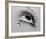 Glass Tears-Man Ray-Framed Art Print