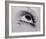 Glass Tears-Man Ray-Framed Art Print