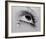 Glass Tears-Man Ray-Framed Art Print