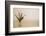 Glass vase containing sprigs of lavender-Mark Lord-Framed Photo