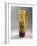 Glass Vase with Cylindrical Body-Emile Galle-Framed Giclee Print