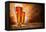 Glasses of Beer on Wooden Table-Jag_cz-Framed Premier Image Canvas