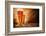 Glasses of Beer on Wooden Table-Jag_cz-Framed Photographic Print